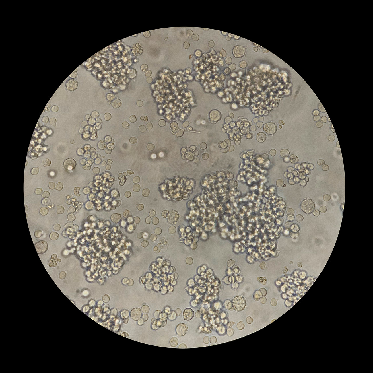 Lovesick Film Still IMG 0758 Crop