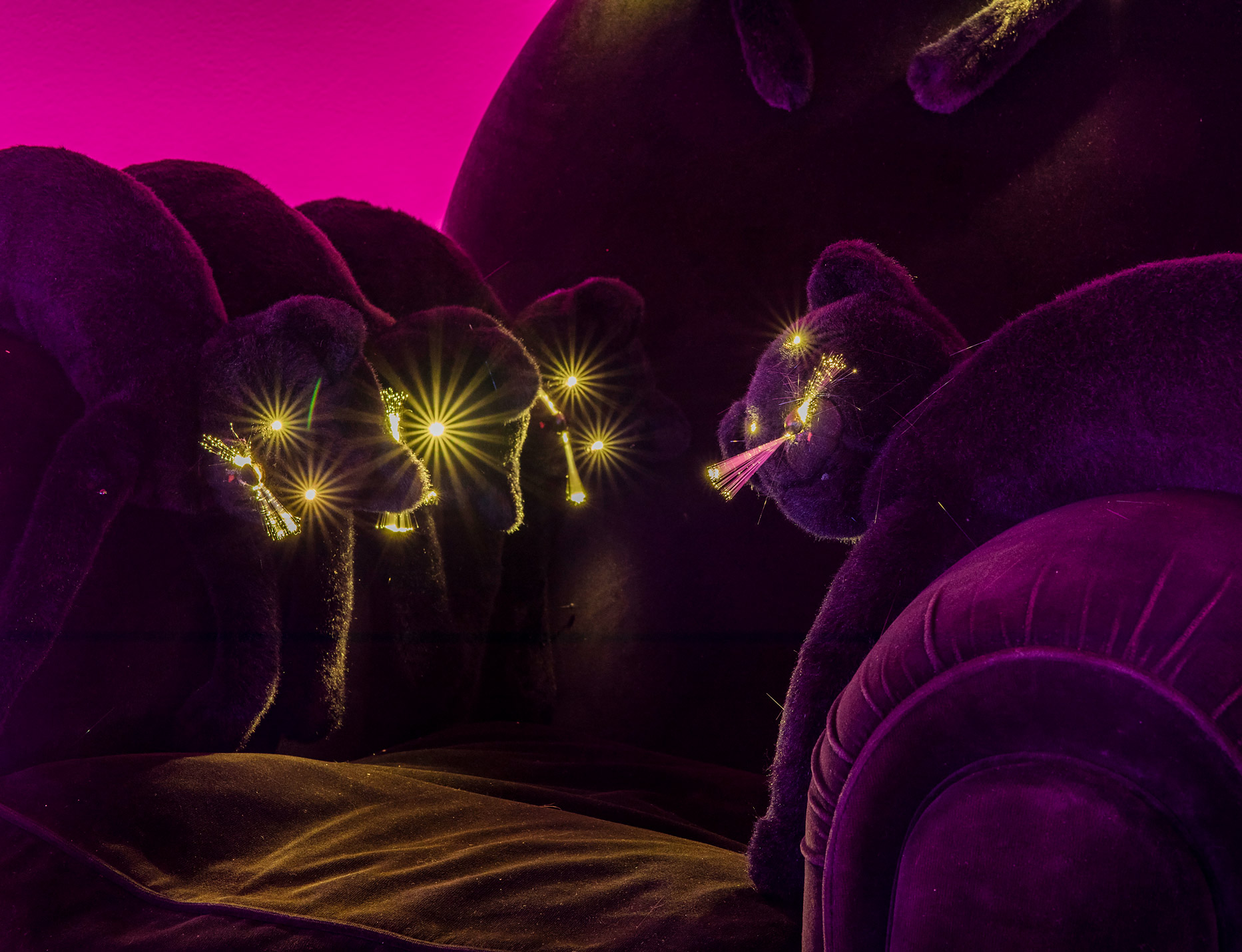 6.Vanity Gatti (Detail) Photo Nelly Rodriguez