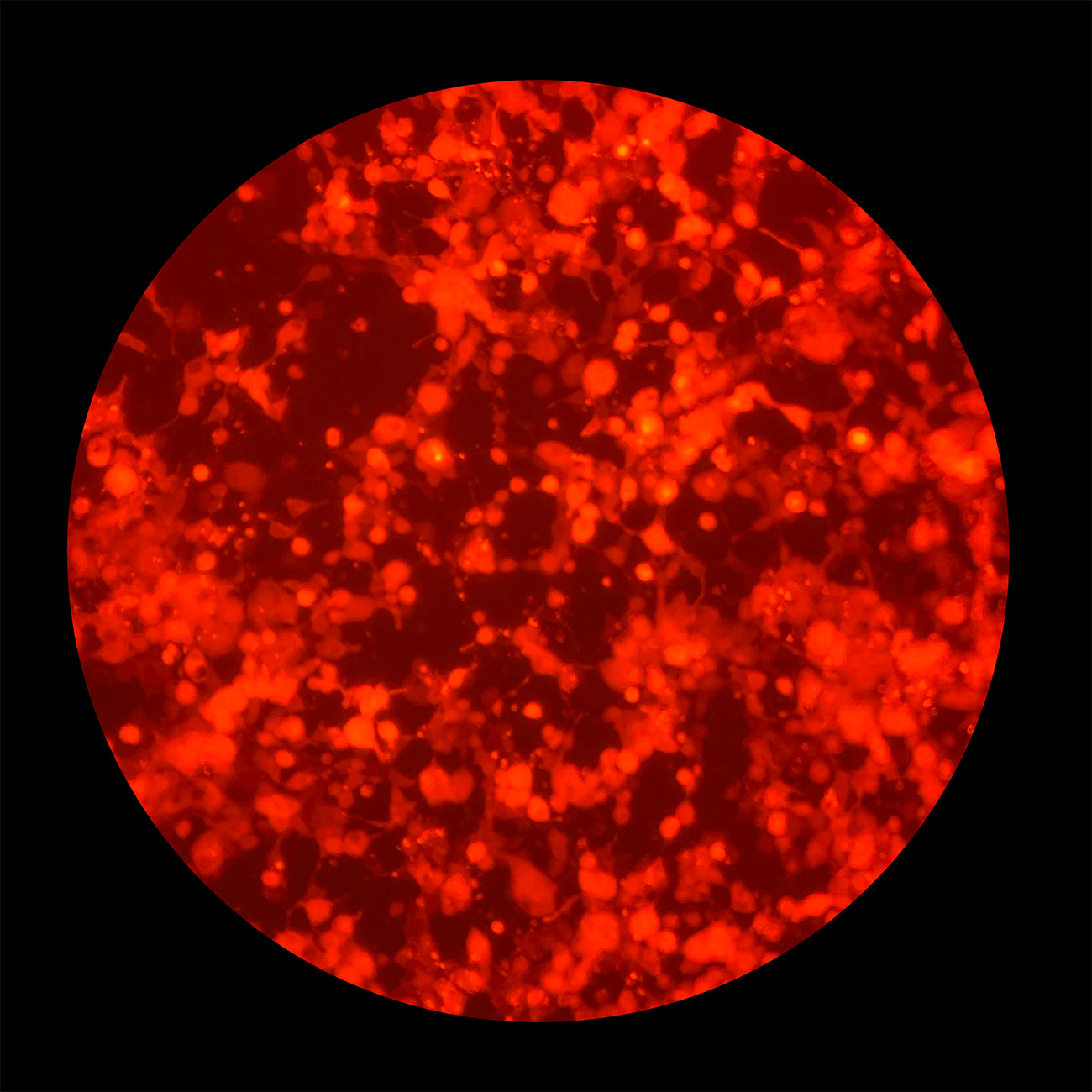 Lovesick Film Still IMG 0693 Crop