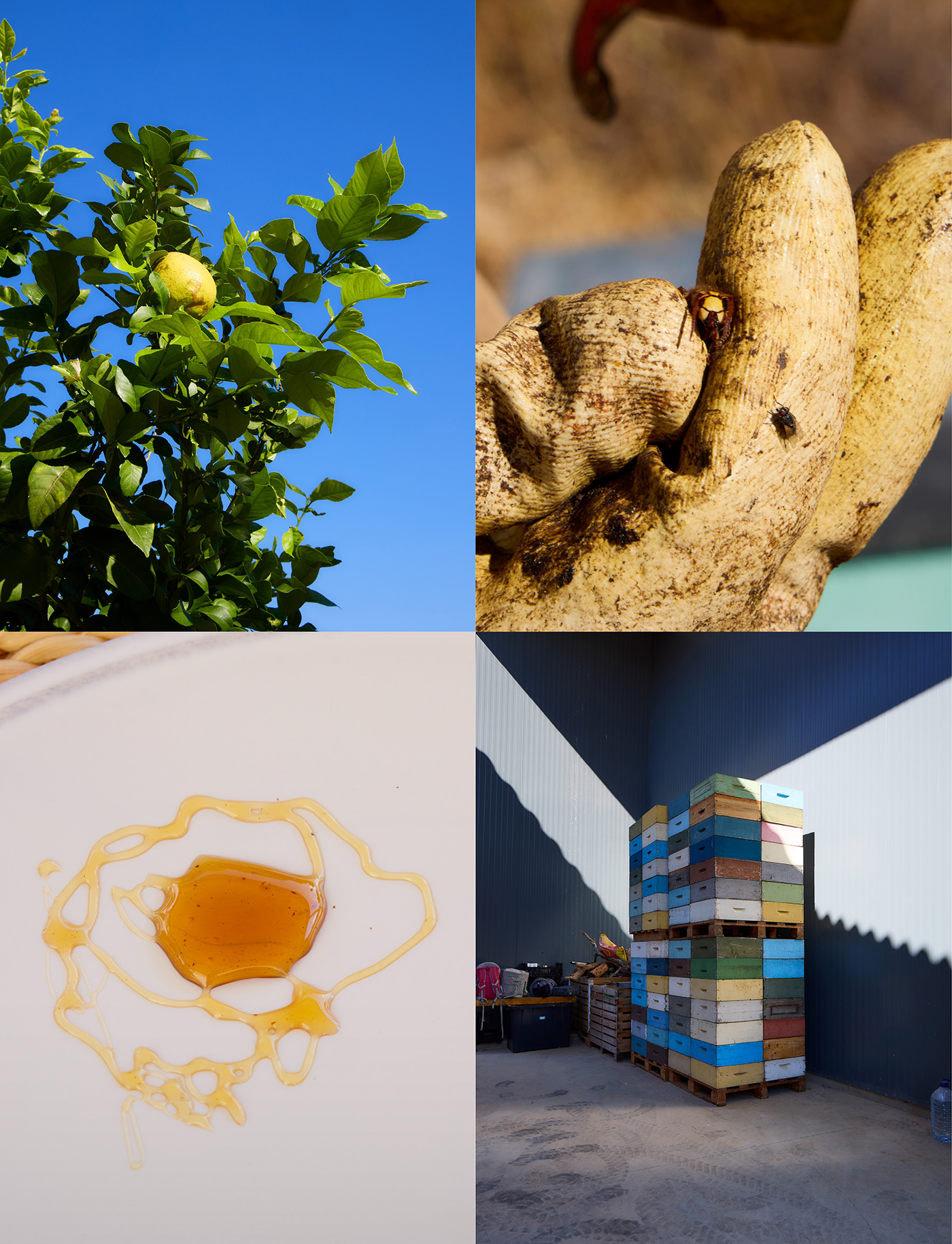 172 179 Feature Portugal10