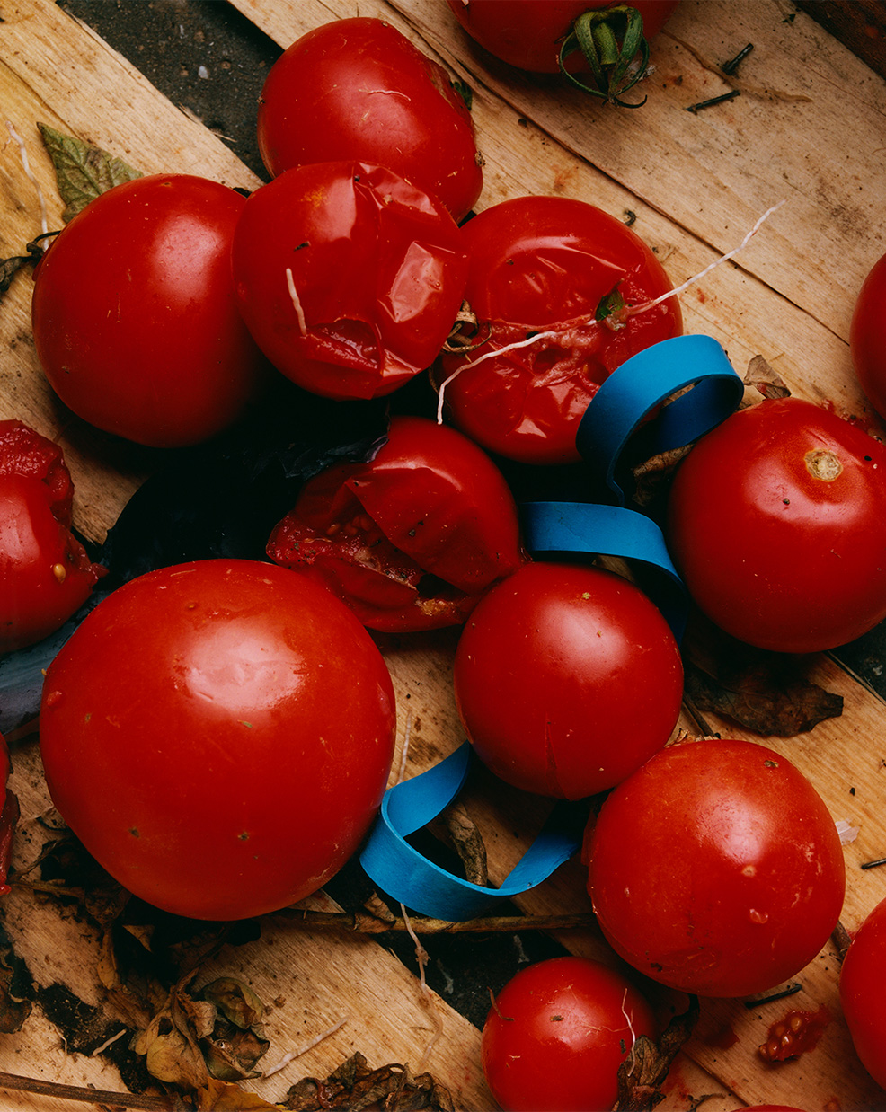 Credit Charles Negre, Sidewalk Stills, RVB Books, 2024.2