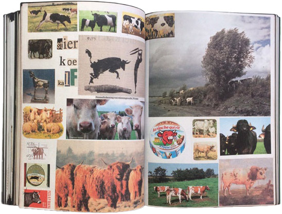 Lous Maten Animal Books For Jaap,Zeno, Julian & Luca 2