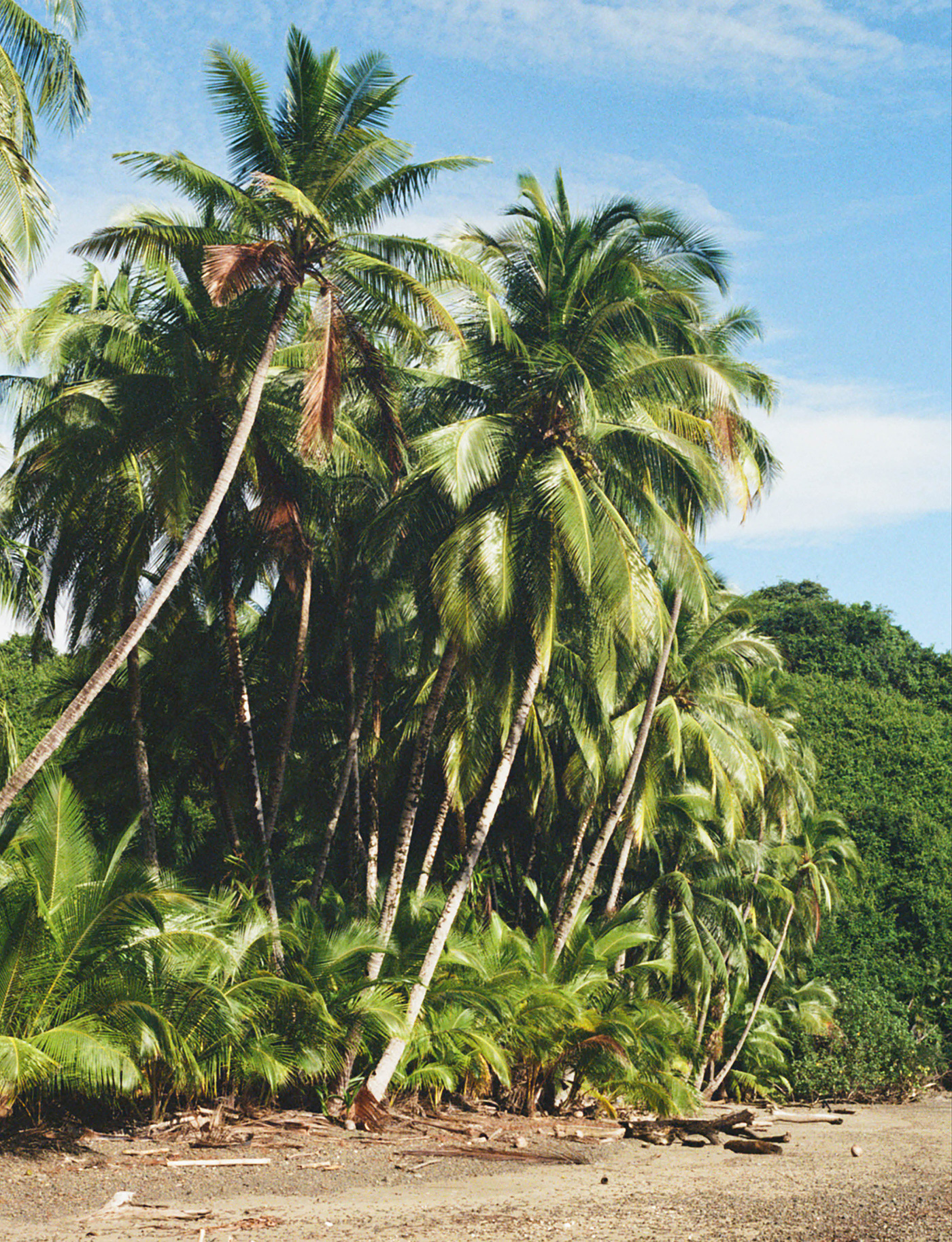 070 079 Feature Panama