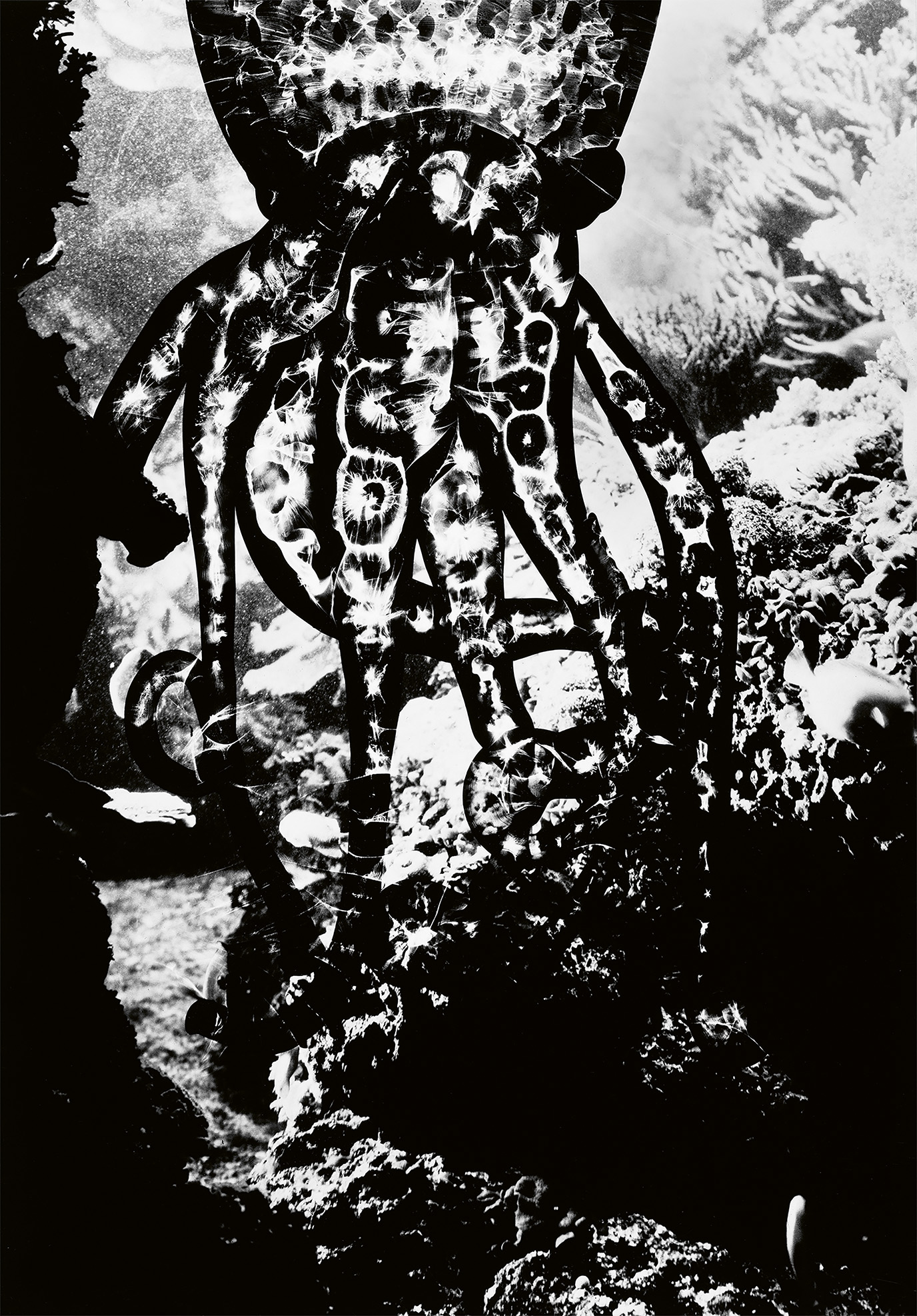 Onorato Krebs Water Column 13 Upscaled Rgb