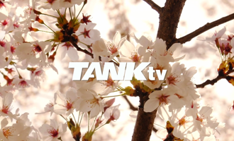 Screenshot 2024 06 14 At 17.16.53