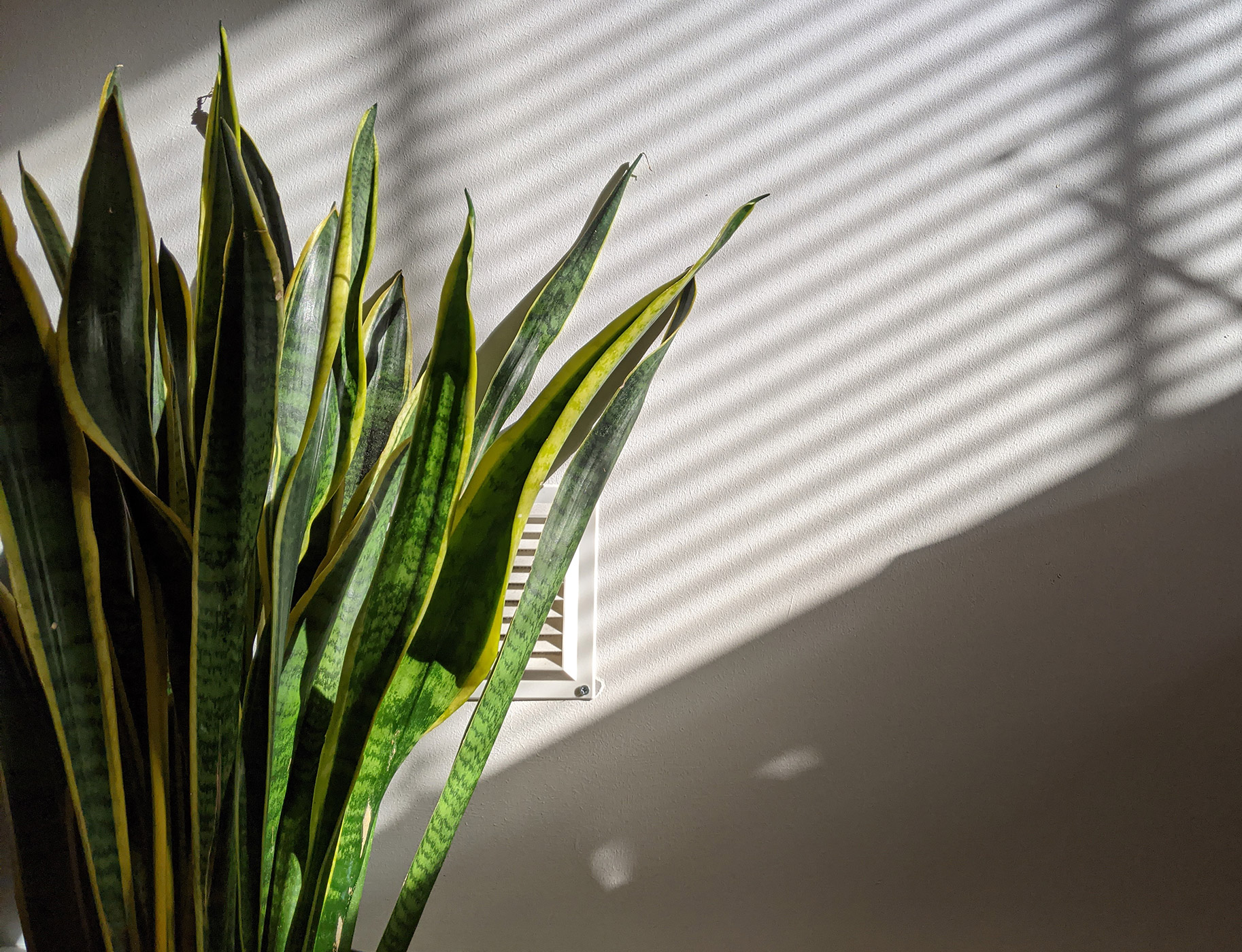 PXL 20201103 104640145