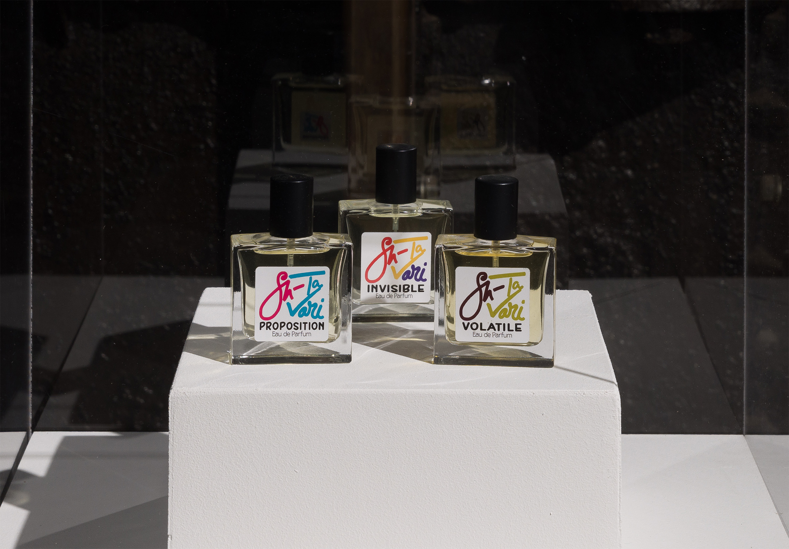 Goldsmiths CCA Milly Thompson Installation View (High Res) 47