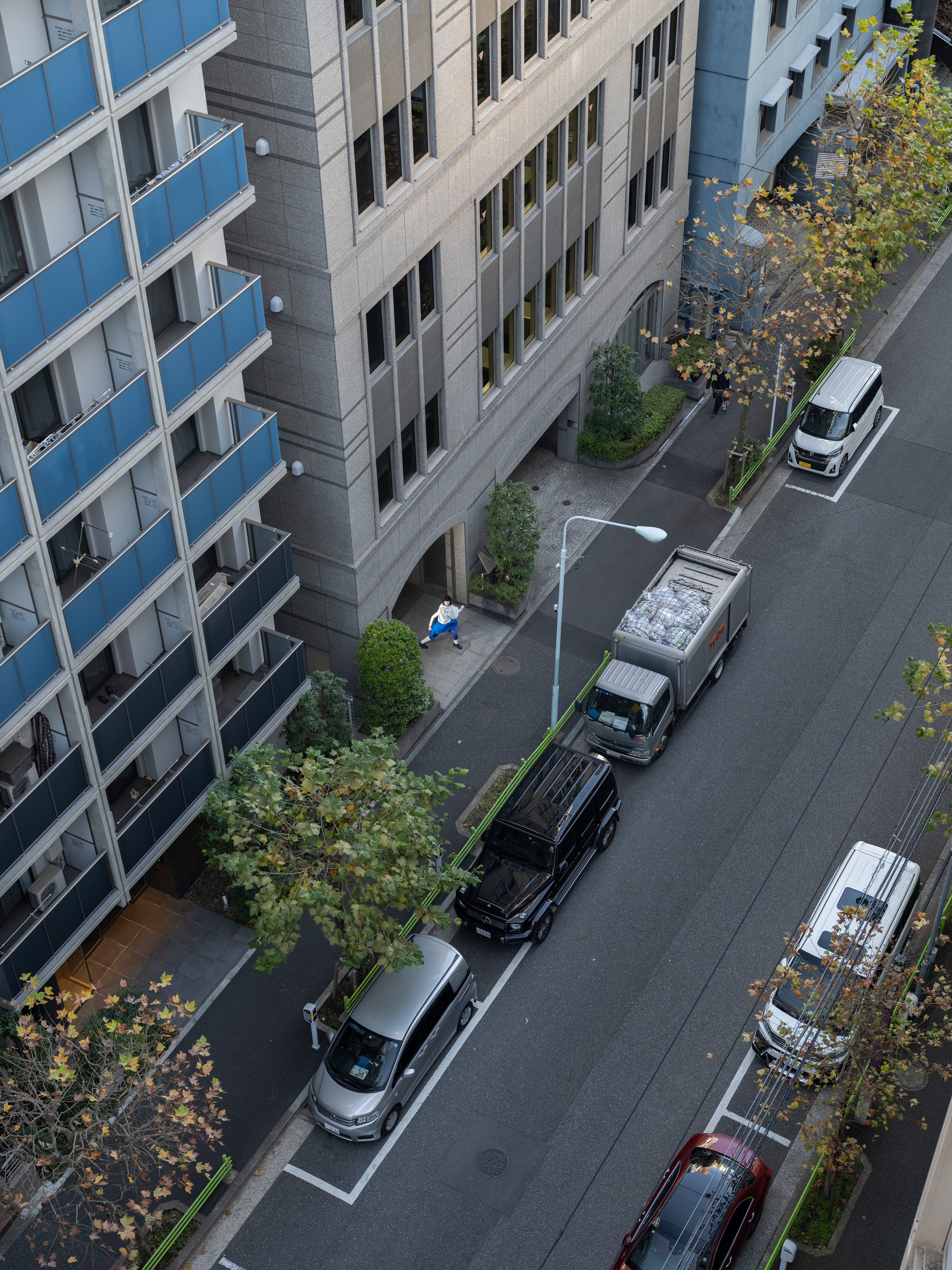 Onoeamane Grey And Green DSF3539 (1)