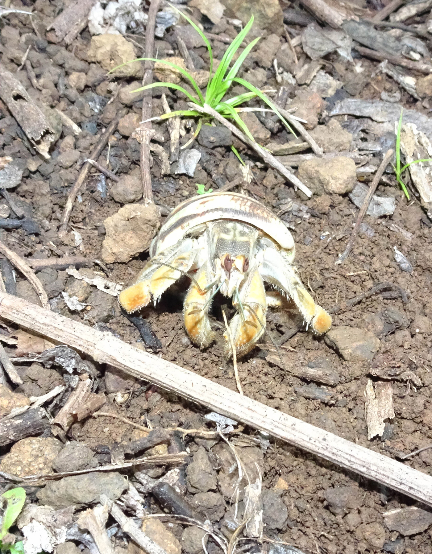 070 079 Feature Panama8