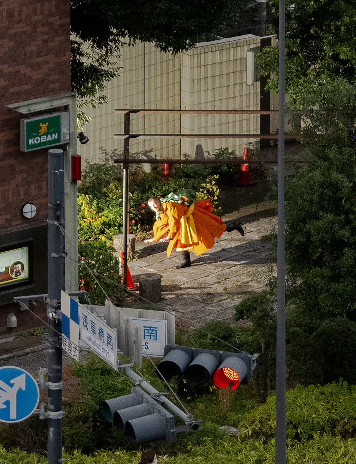 Cropped Alexis Turtle DSF3903 Copie