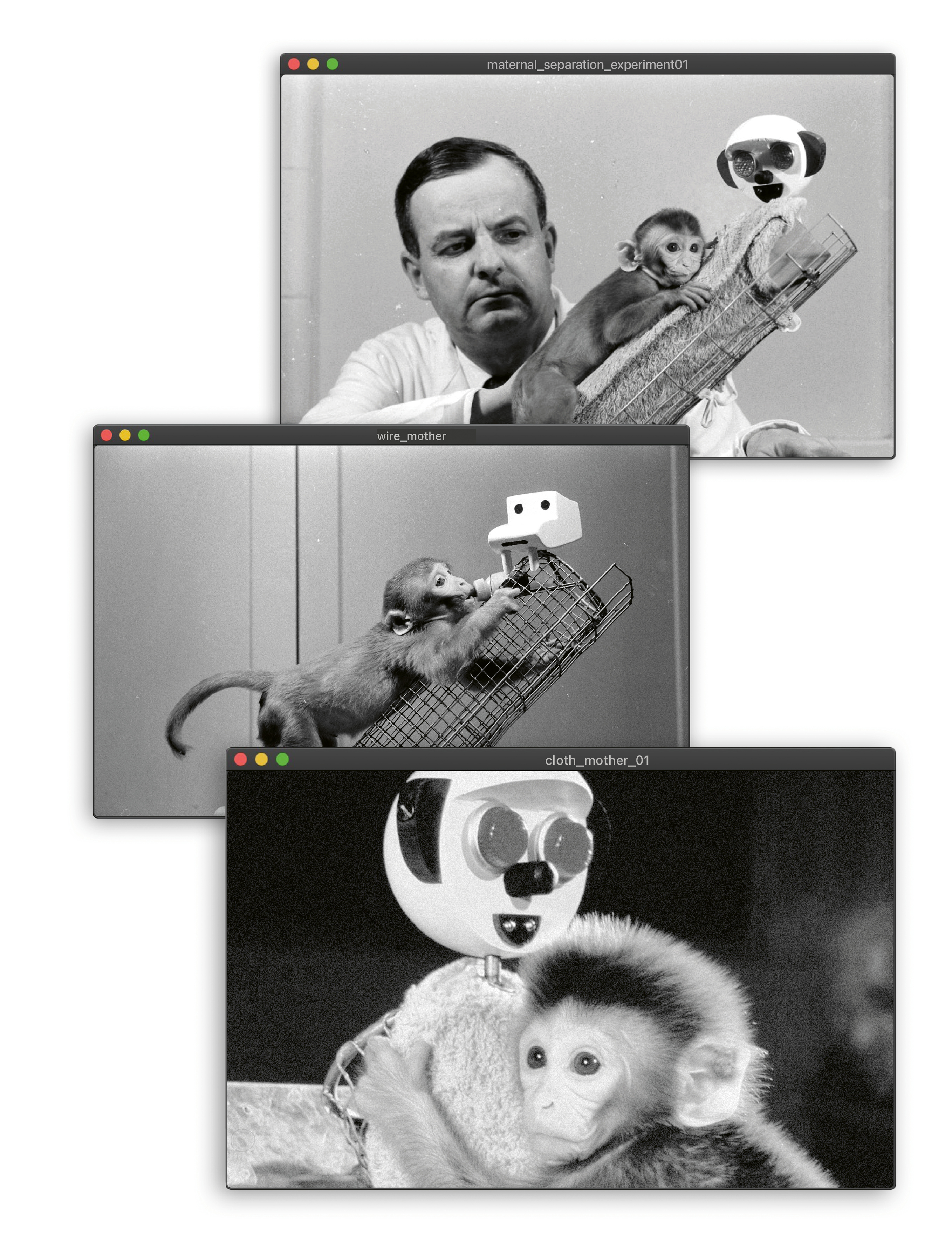 Hannah Black Collage