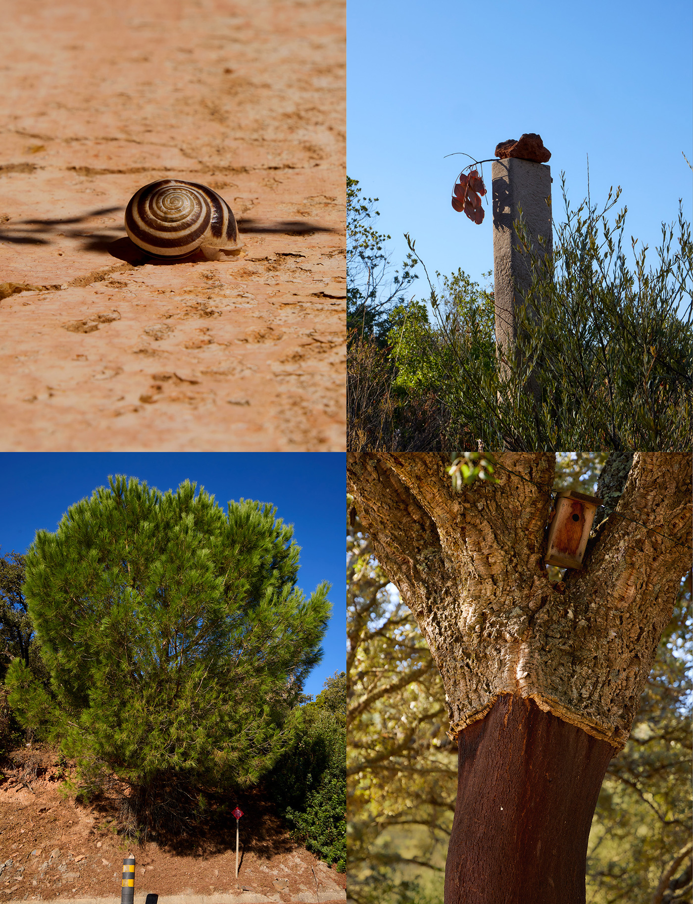 172 179 Feature Portugal15