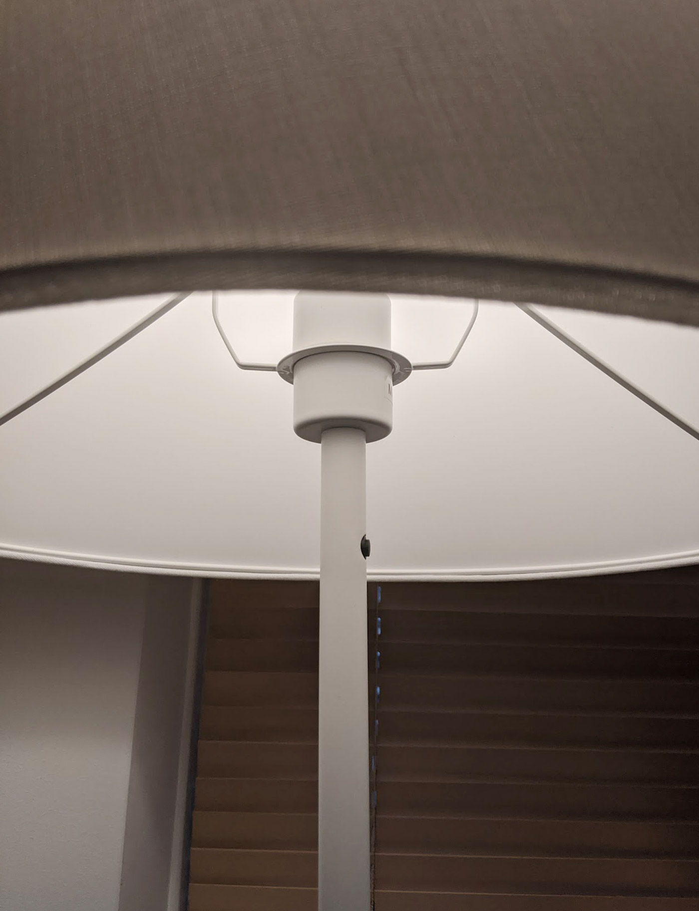 PXL 20201103 075957675