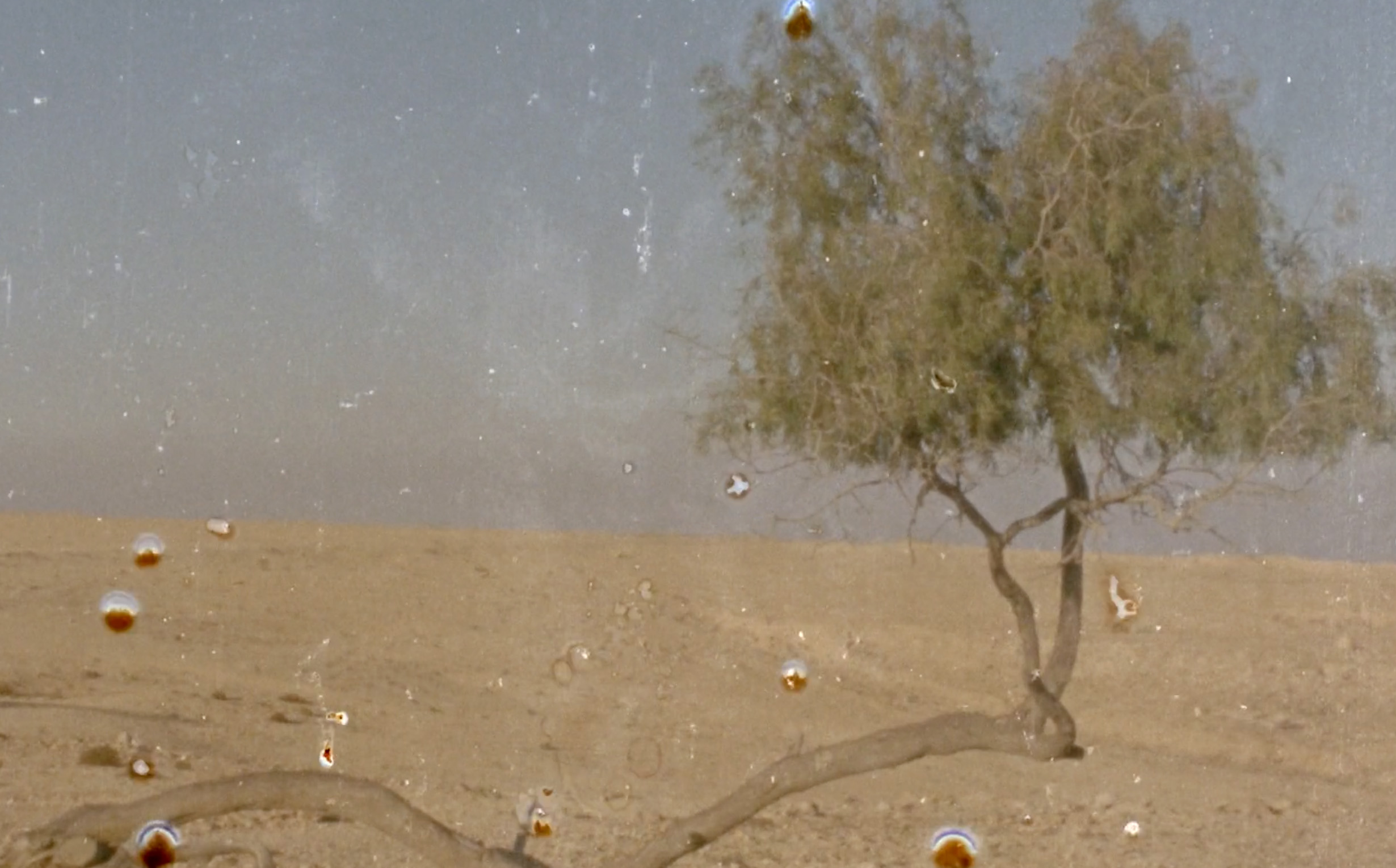 Screenshot 2024 05 09 At 12.29.18