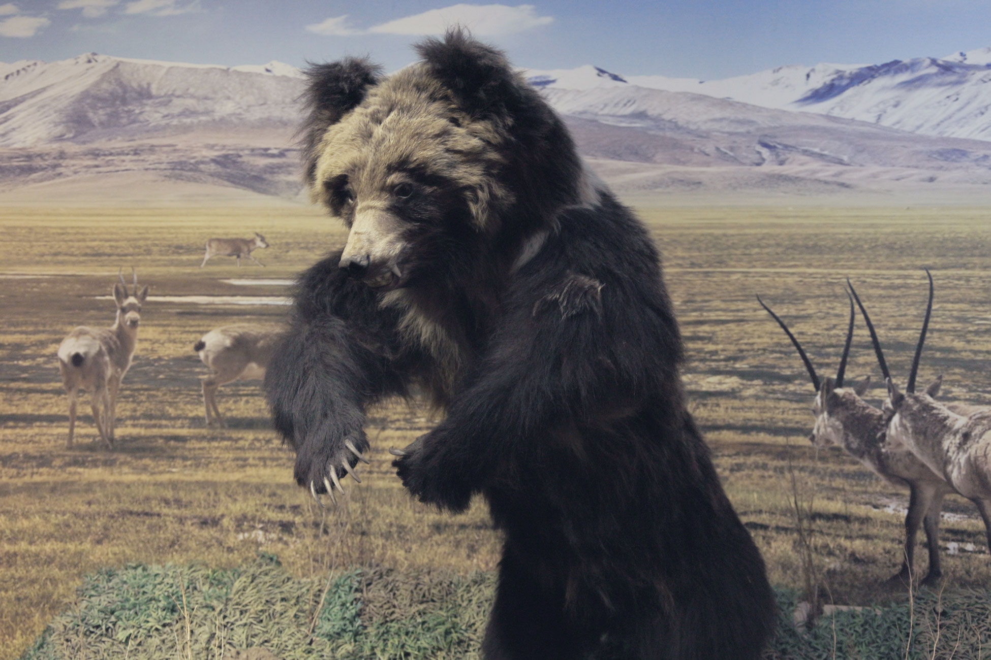 Screen Shot 2020 11 24 At 11.31.27 PM (2)