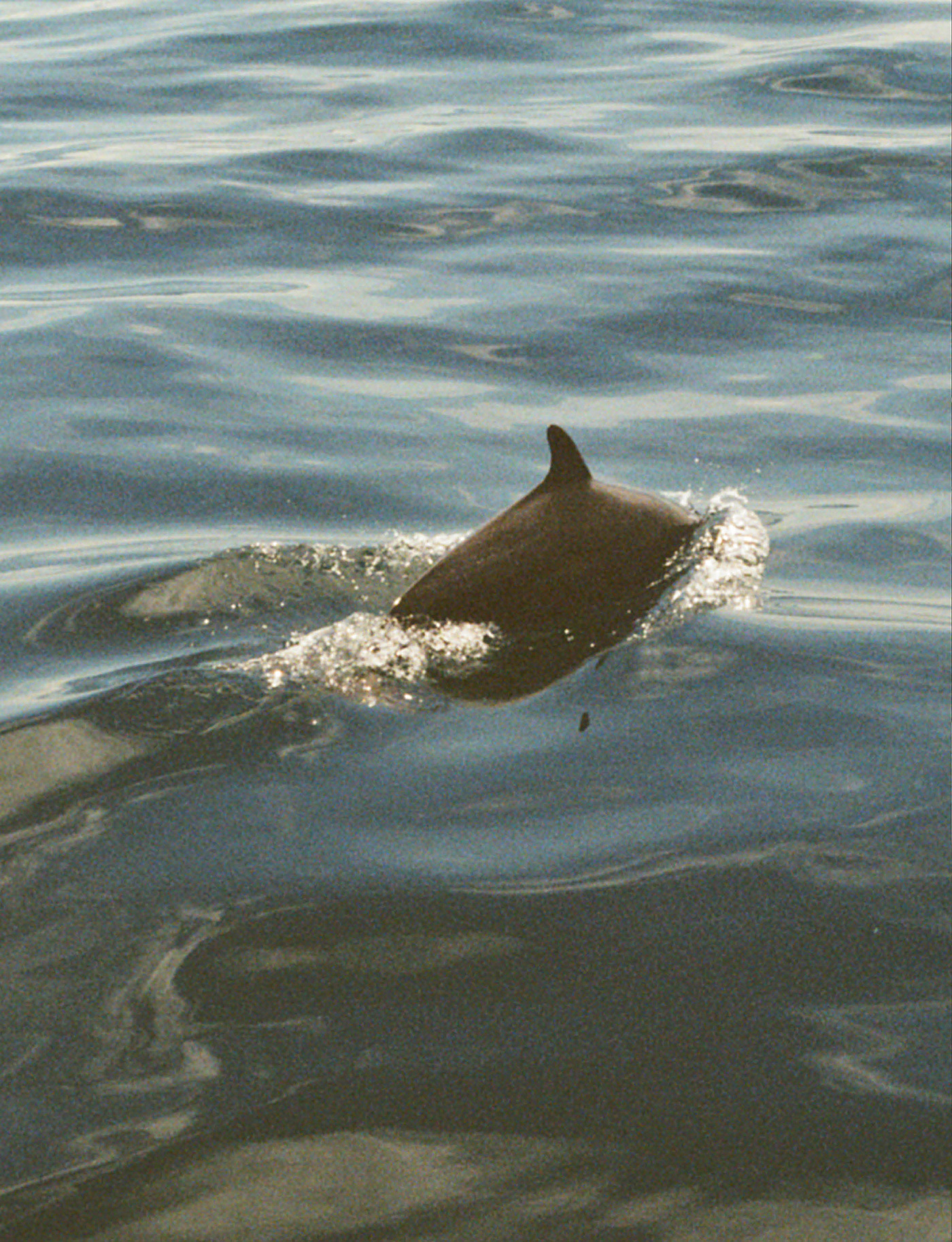 070 079 Feature Panama9