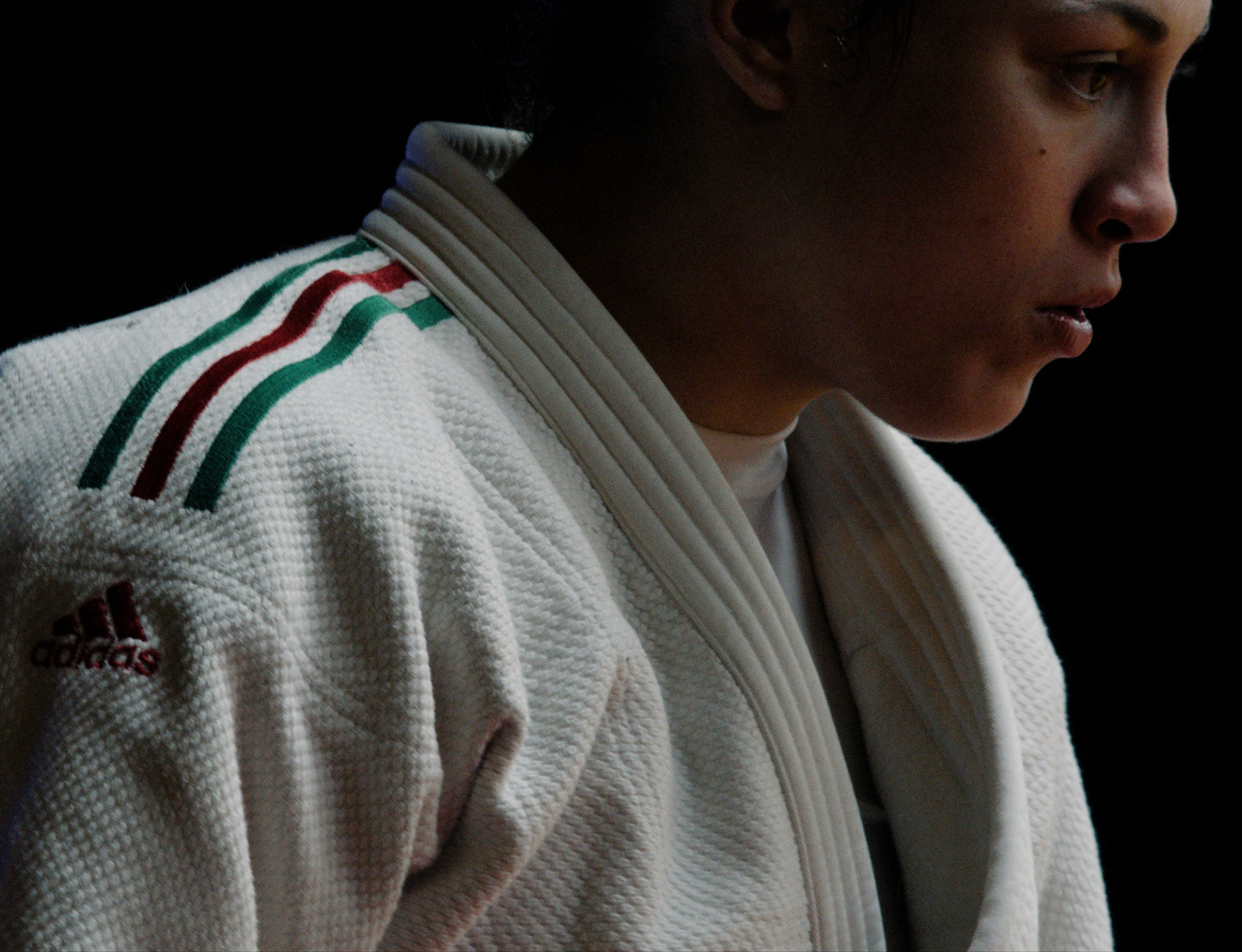 Guilio Bertelli Agon Layout 2