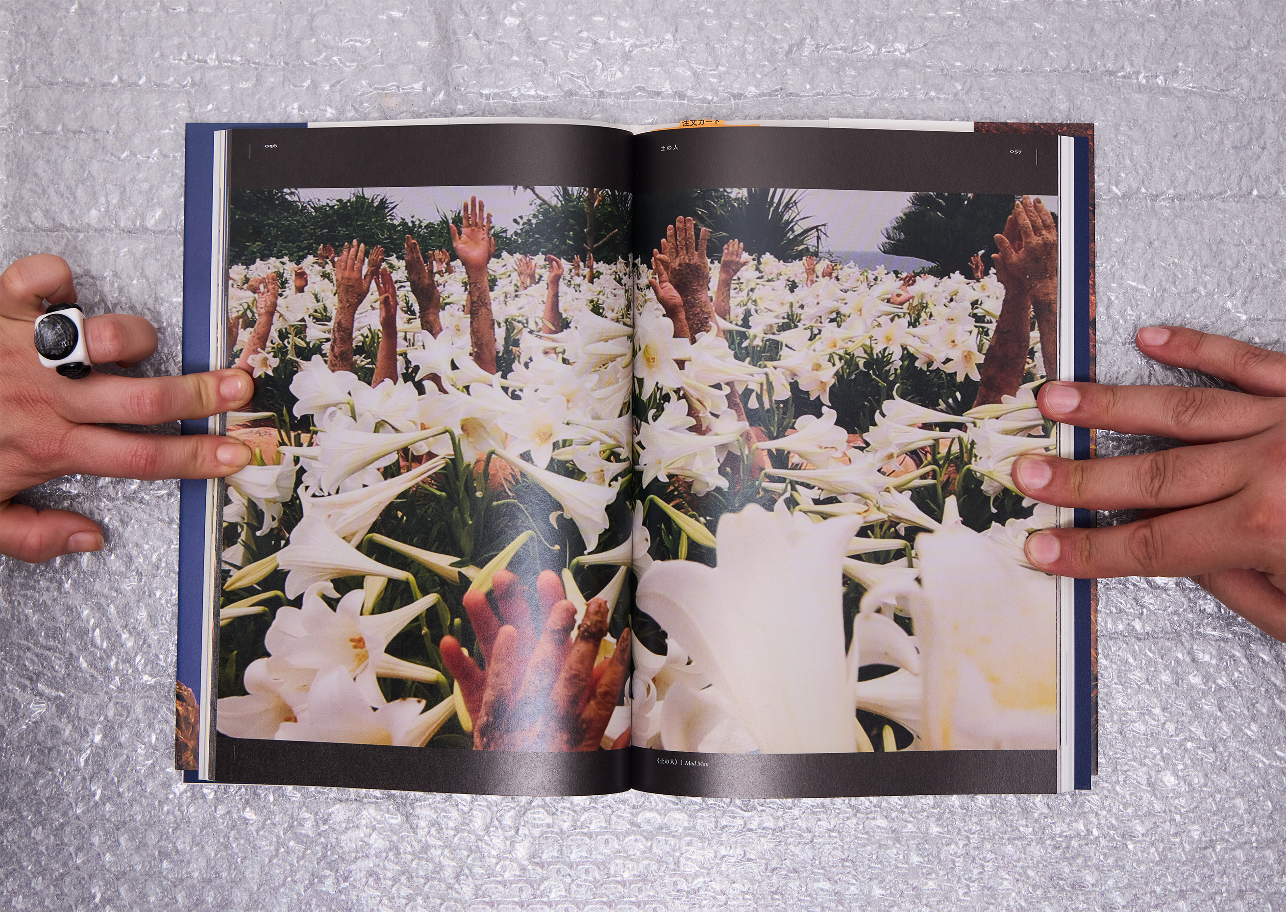 TANK Spring 2025 Lucy Fleming Brownlucy Fleming Brown 172 Extended