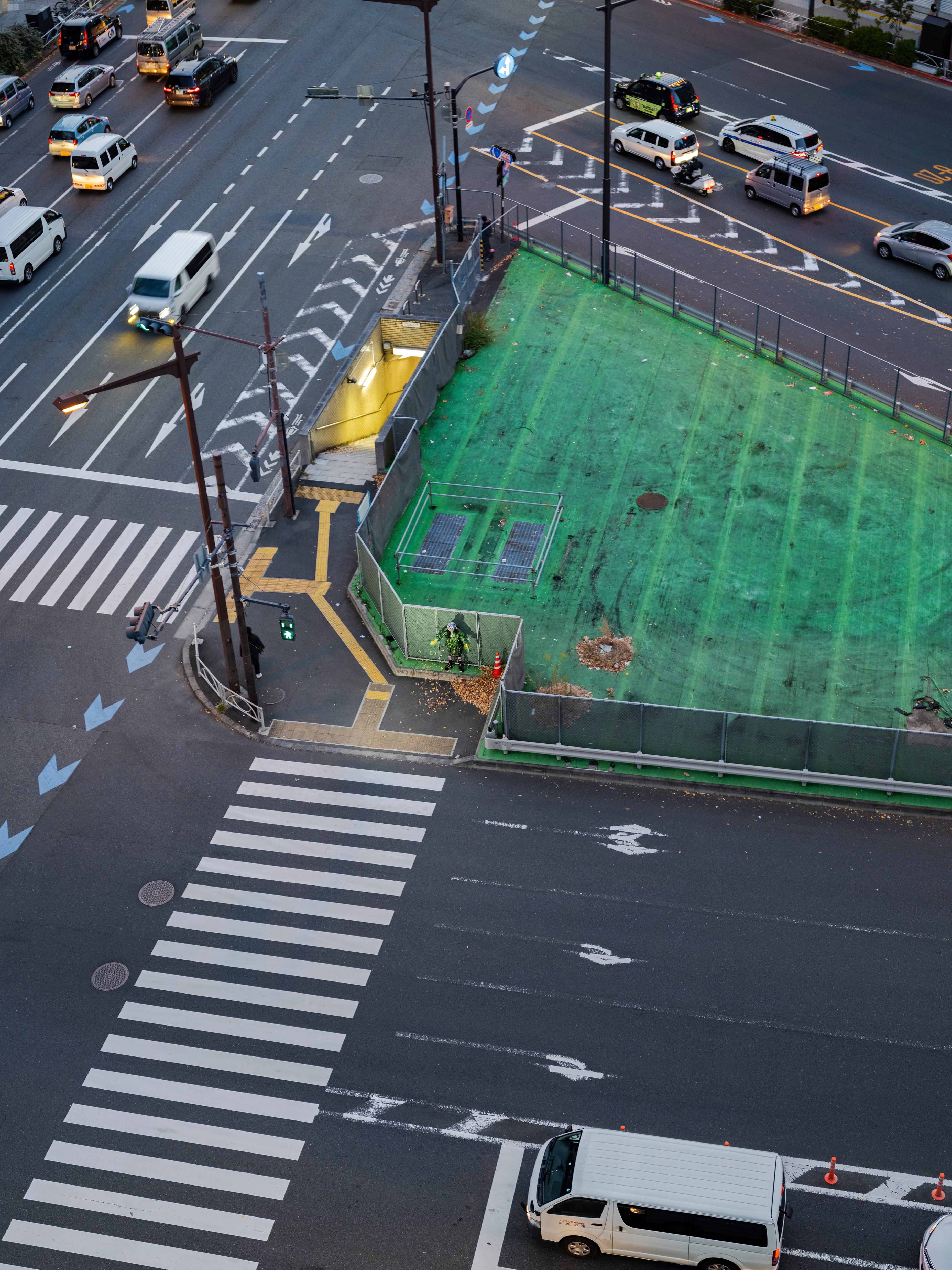 Reina Green Dsf4057 (1)