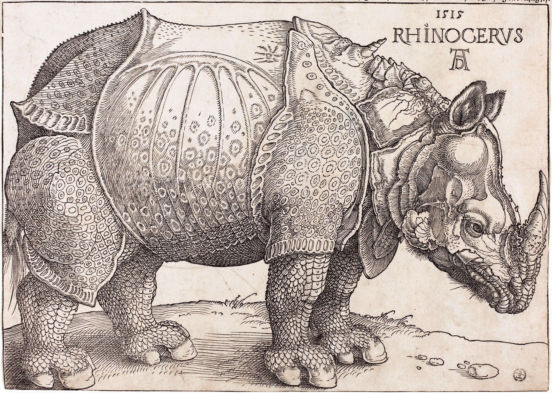The Rhinoceros