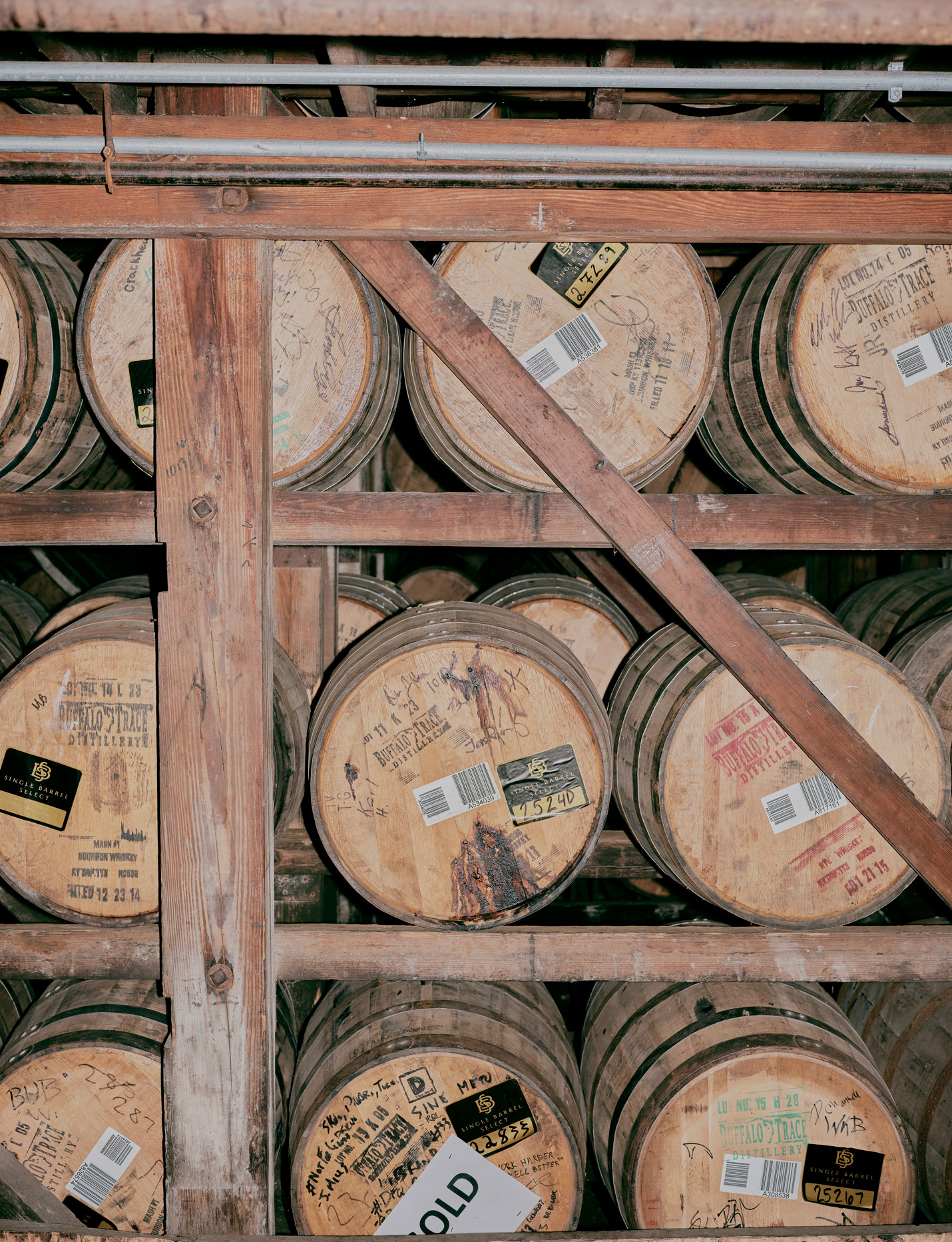 6 220923 TANK KENTUCKY GFX 547 BUFFALO Copy 2